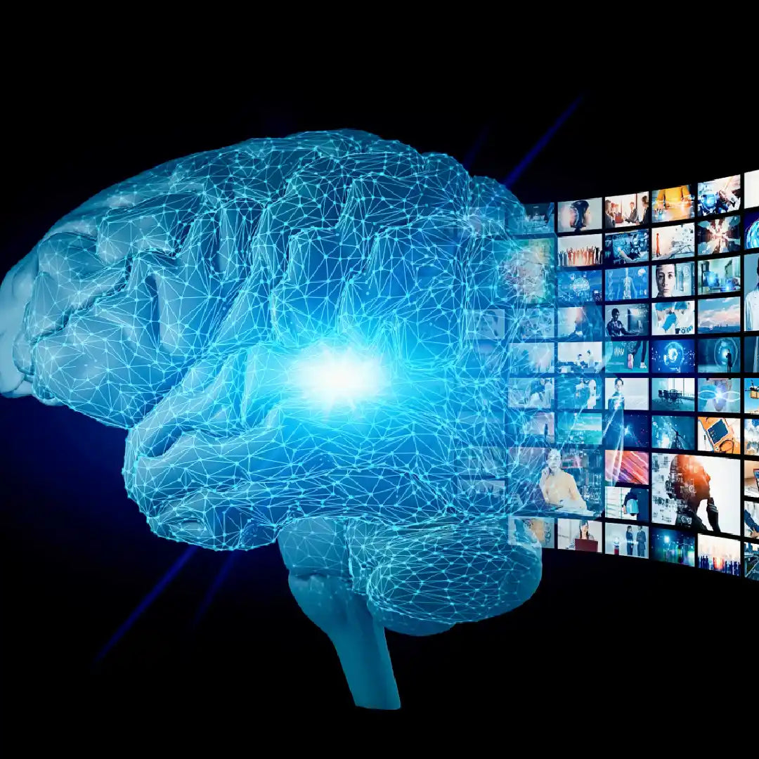 Creative & Content | Ads, Blogs & UGC